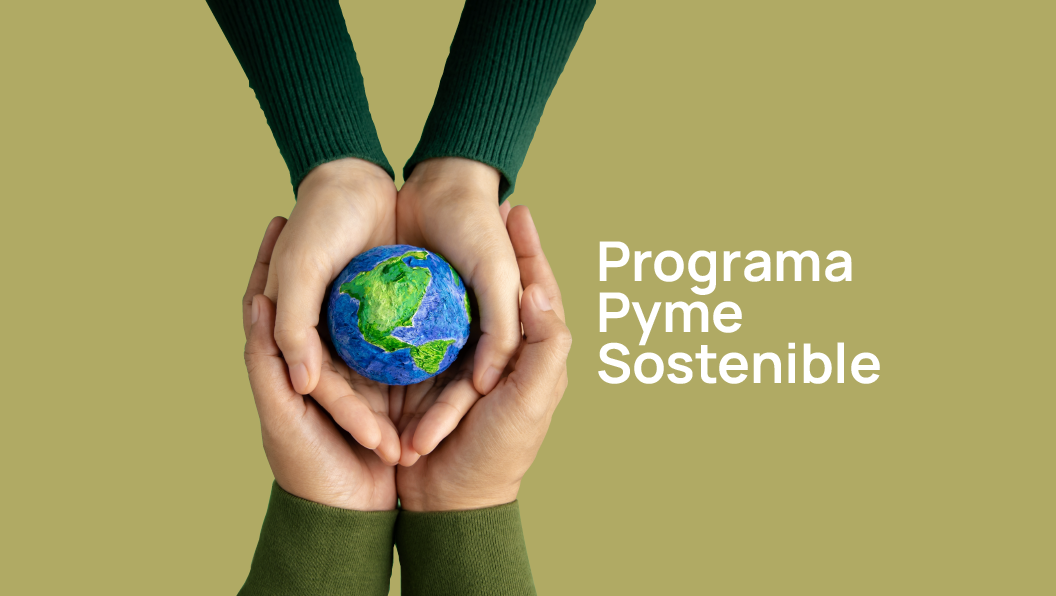 Pyme Sostenible